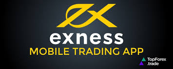 Understanding Exness Forex Spreads and Their Impact on Trading Understanding Exness Forex Spreads and Their Impact on Trading